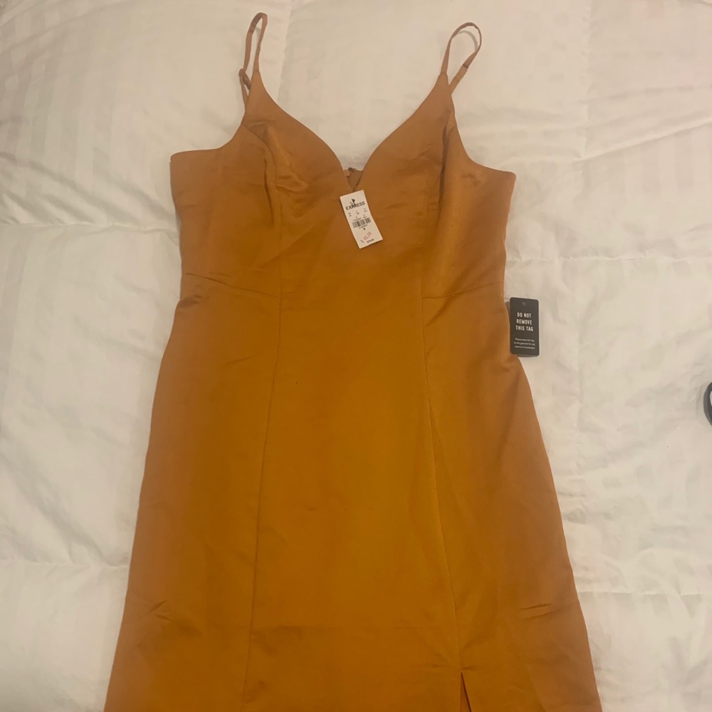 Medium Express Dress
